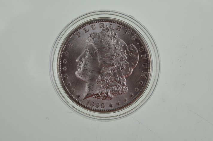 Morgan Silver Dollar, 1899
