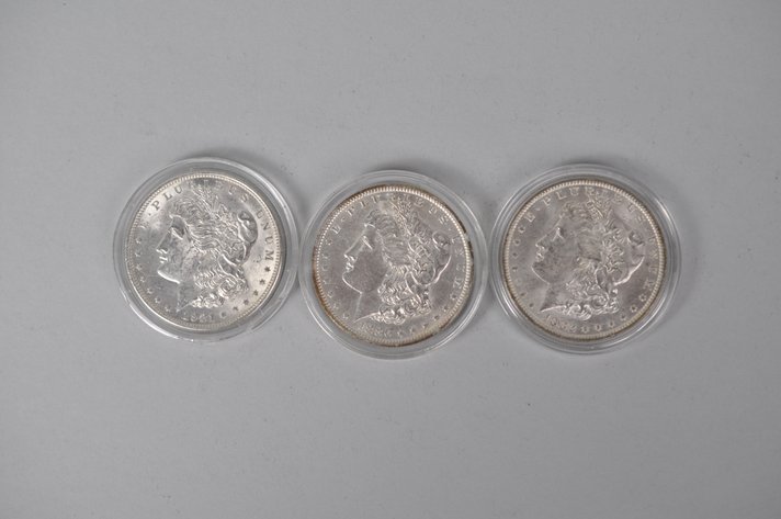 Assorted Silver Morgan Dollars