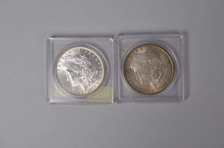 Assorted Silver Morgan Dollars