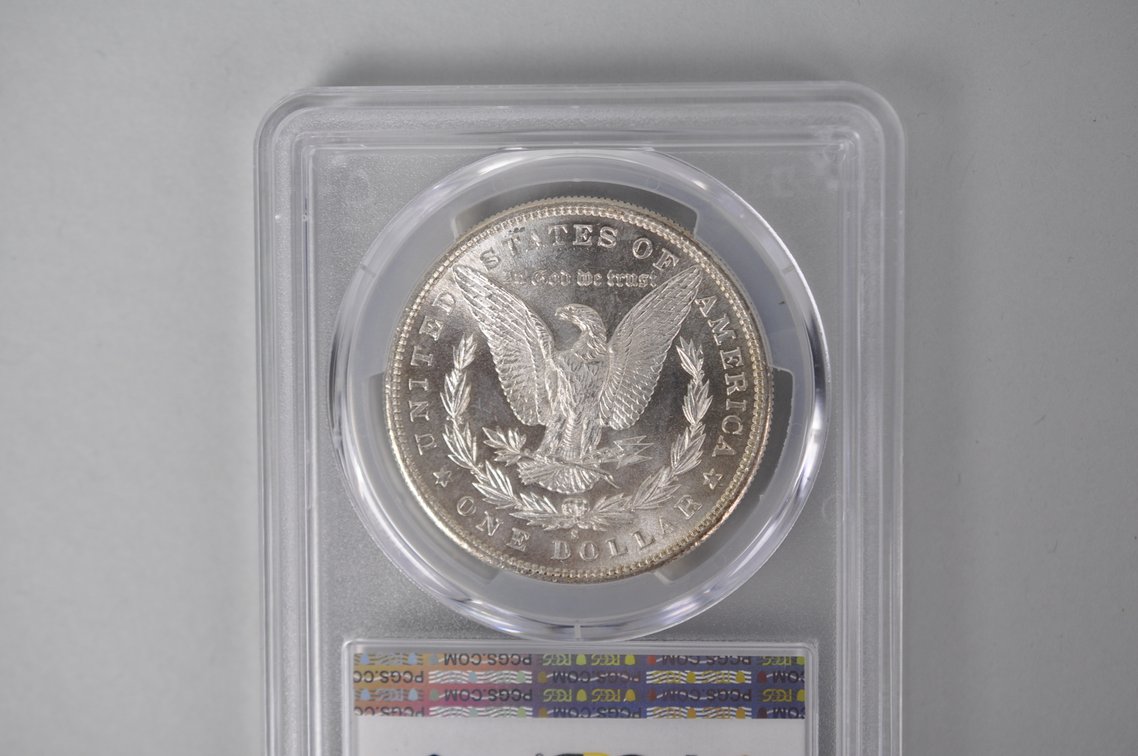 Graded and Slabbed Mint Condition Morgan Silver Dollars, photo 13 of 13