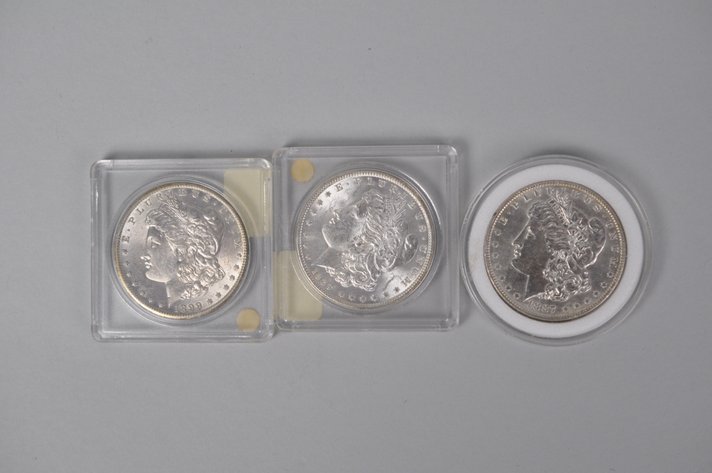 Assorted Silver Morgan Dollars