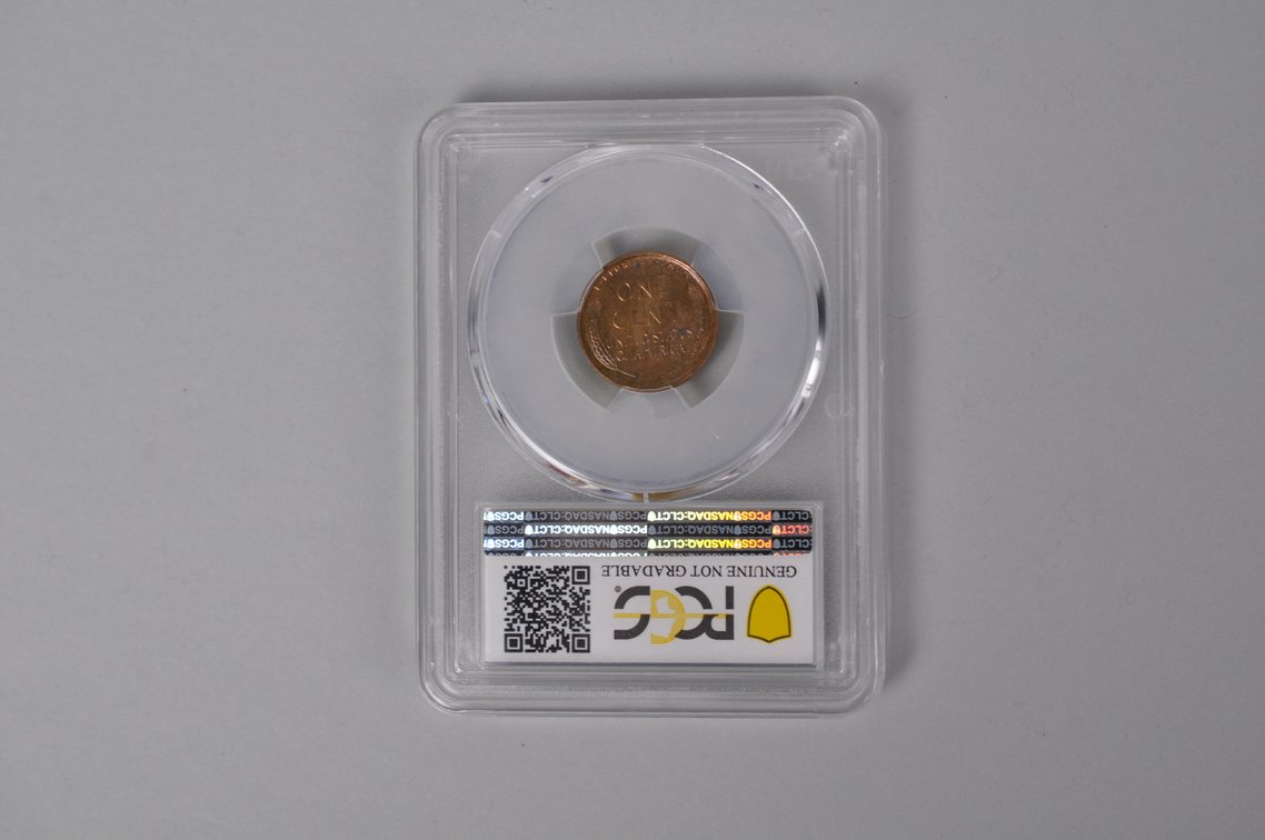 Graded Wheat Cents, photo 11 of 14