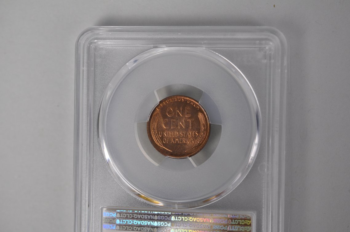 Graded Wheat Cents, photo 7 of 13
