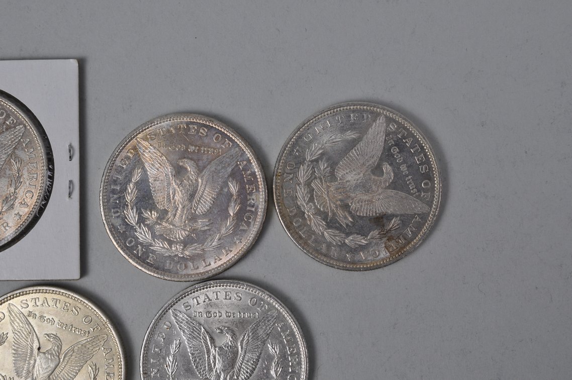 Silver Morgan Dollars, photo 7 of 8