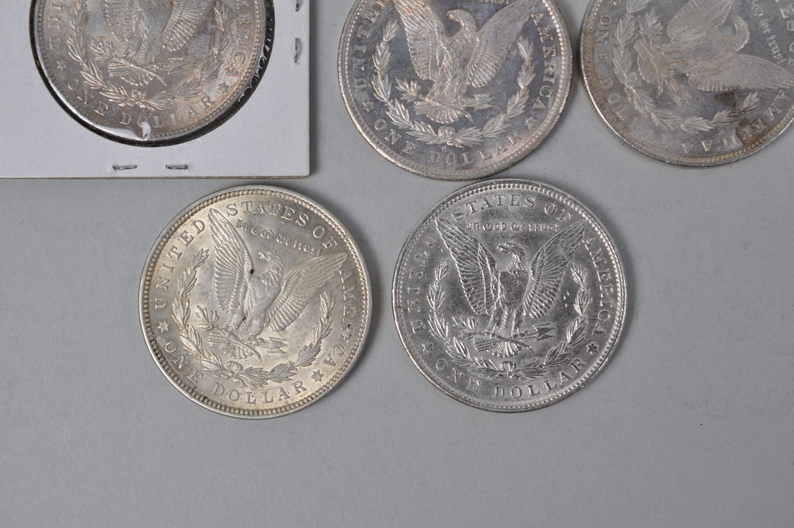 Silver Morgan Dollars, photo 8 of 8