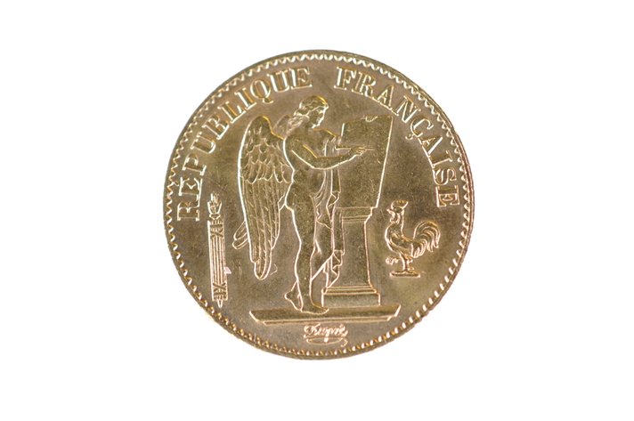 1875 20 Francs French Republic Gold Coin