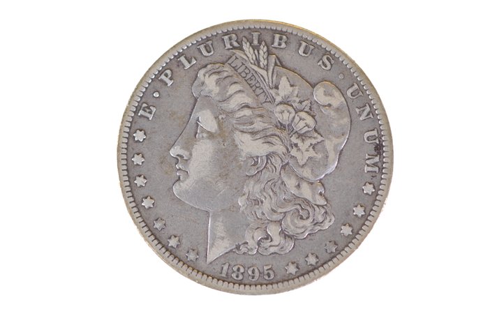 1895 Morgan Silver Dollar New Orleans