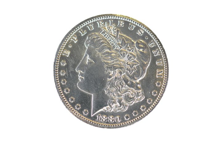 1880 Silver Morgan Dollar Carson City