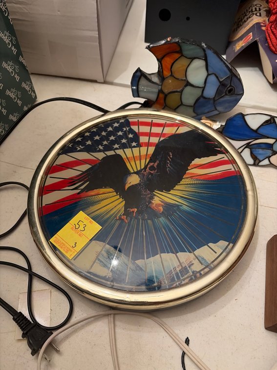 Spinning lighted eagle, lighted lead fish & night light