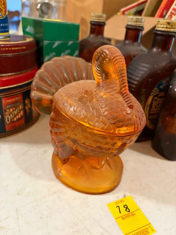TURKEY ON NEST