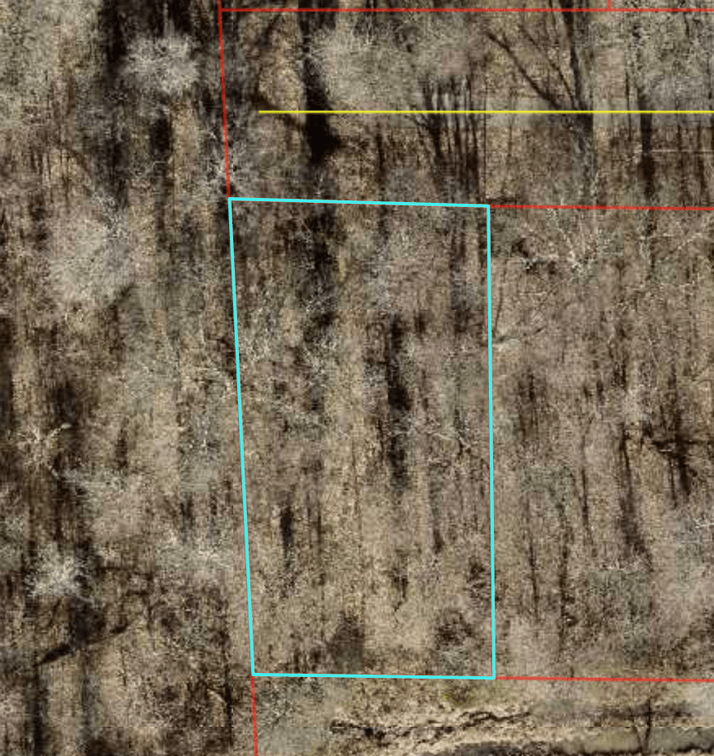 ABSOLUTE AUCTION Tract 6: 400 Lane Road West, Paducah, KY