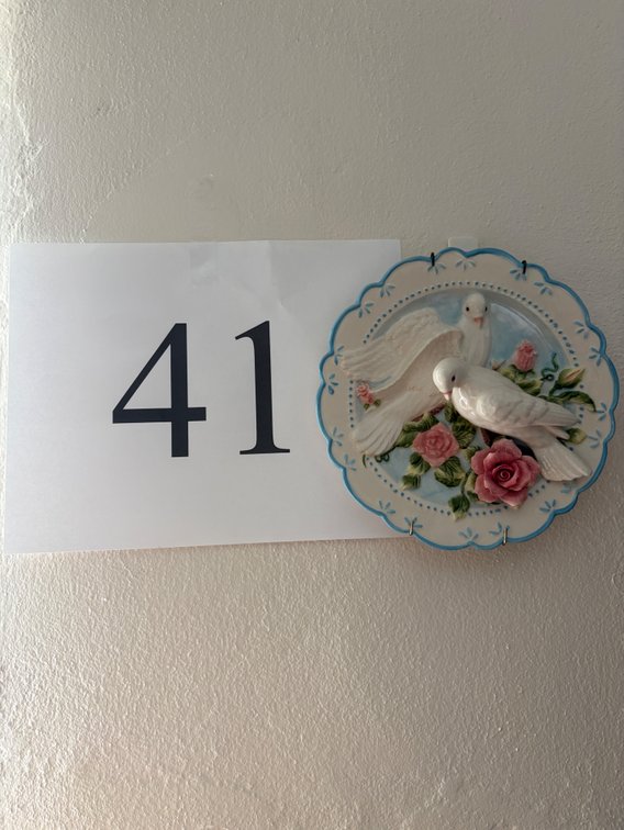 DOVE FLORAL PORCELAIN DECORATIVE WALL DISH 8"
