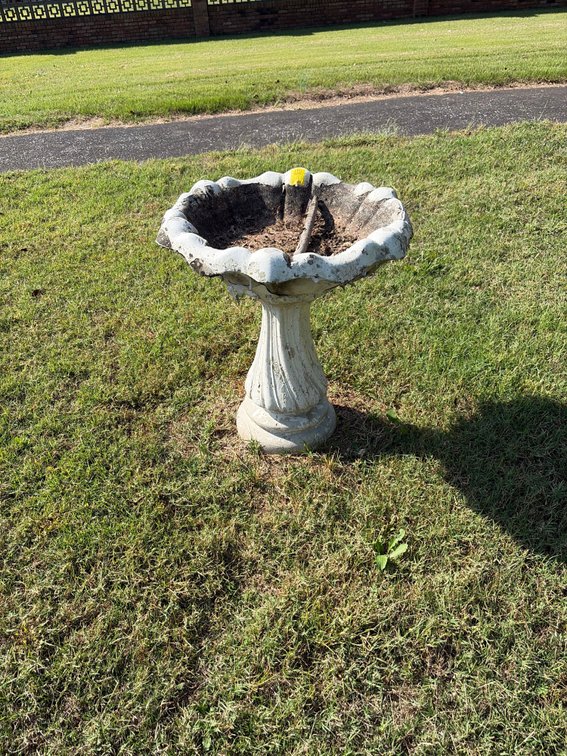 Concrete bird bath