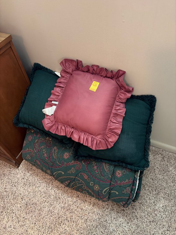 Pillows and comforter