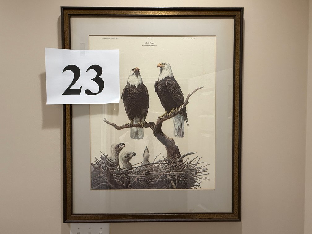 RAY HARM LARGE FRAMED AND MATTED PRINT - BALD EAGLE