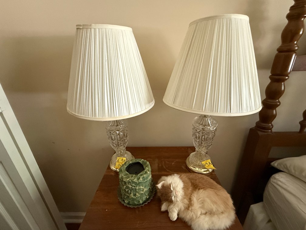 PR. BEDROOM LAMPS, CANDLE, AND CAT