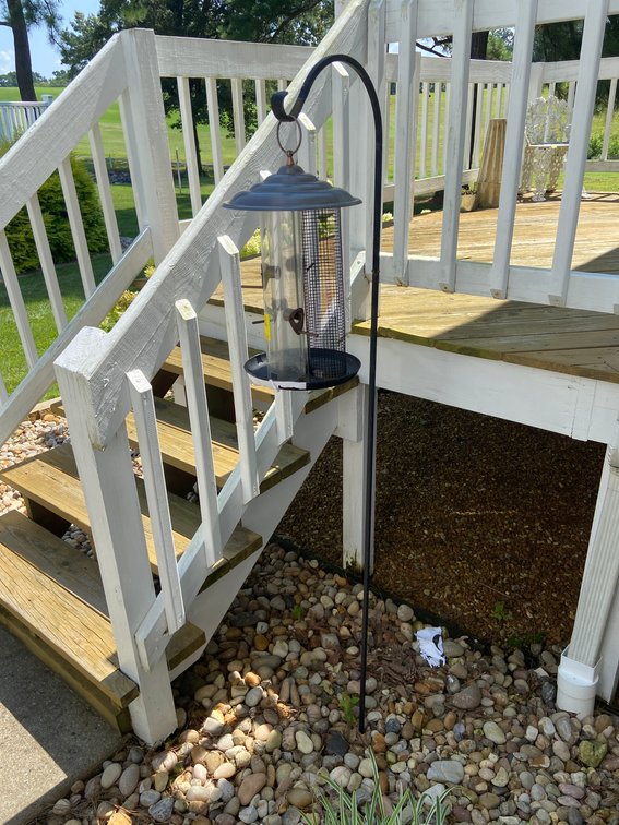 BIRD FEEDER WITH HOOK