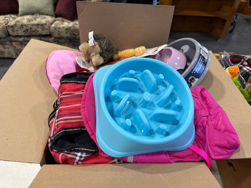 ENTIRE BOX MOSTLY  NEW DOG ITEMS
