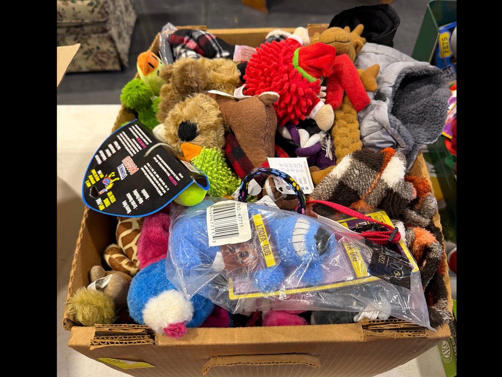 ENTIRE BOX OF MOSTLY NEW DOG ITEMS