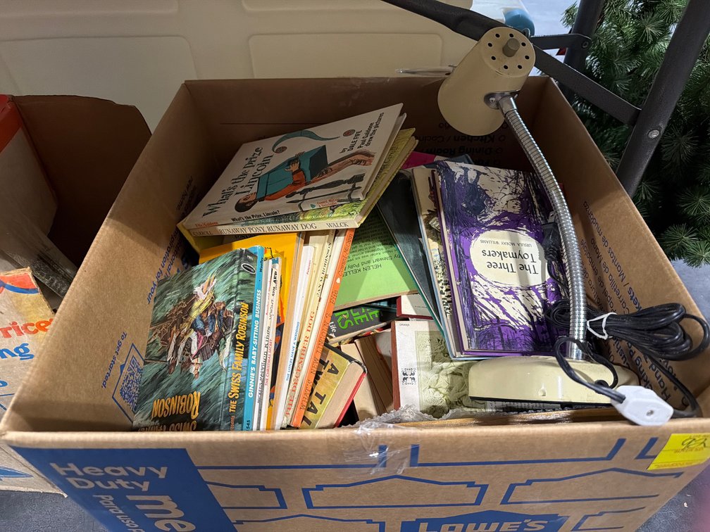 BOX OF CHILDRENS BOOKS AND MAGNIFYING LIGHT