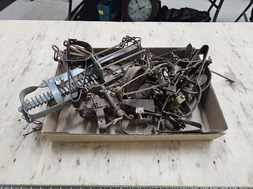 Assorted Leg Traps & One Mole Trap