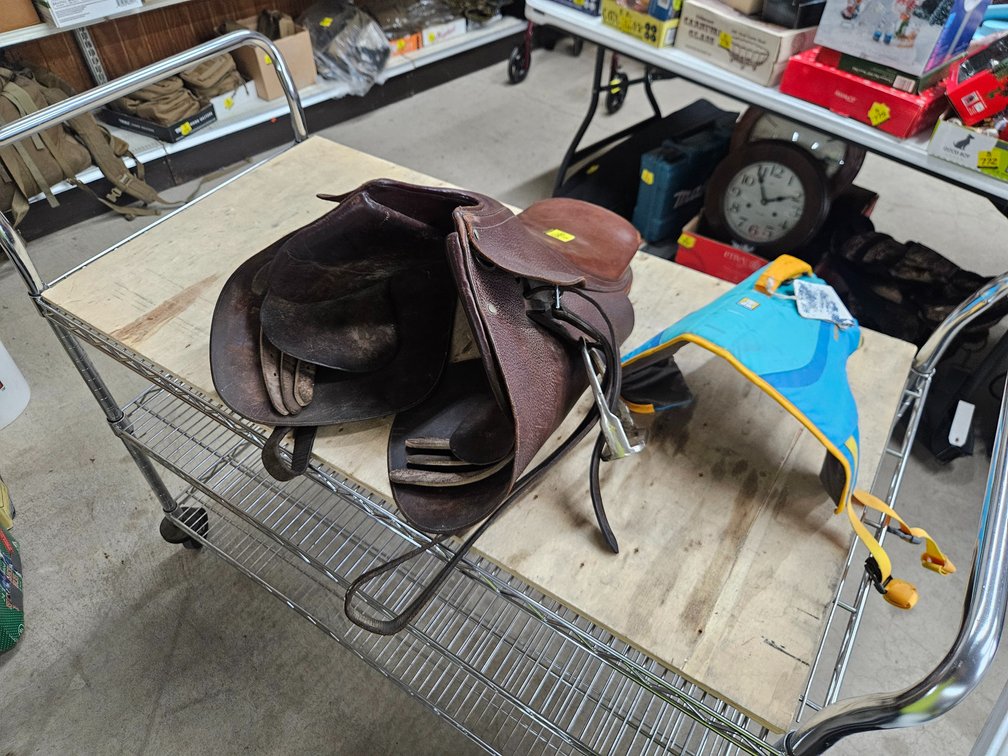 English Leather Saddle & Dog Life Jacket