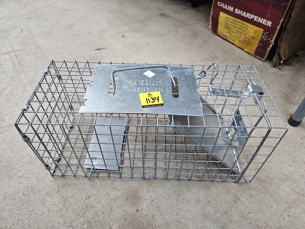 1 Medium Live Trap