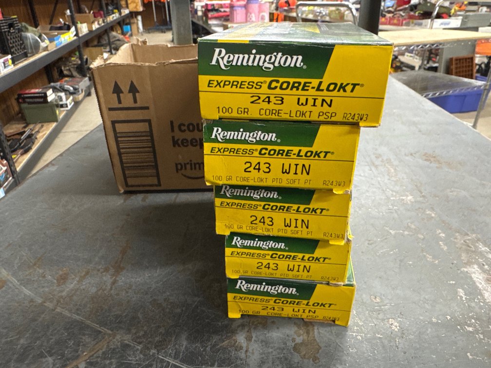 .243 Win-5 Boxes Remington