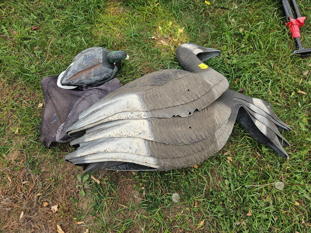 6 Canadian Geese, 3 Mallard Decoys