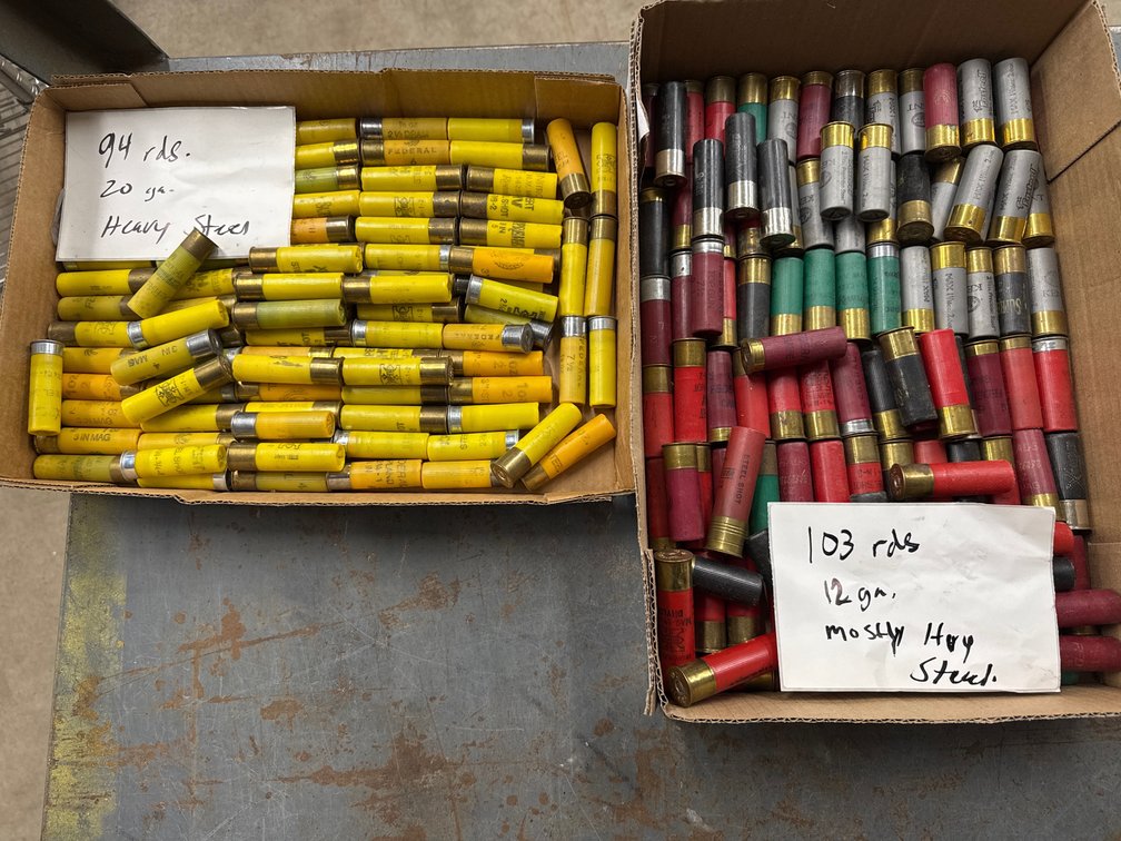 20 Ga & 12 Ga Assorted Loose Ammo
