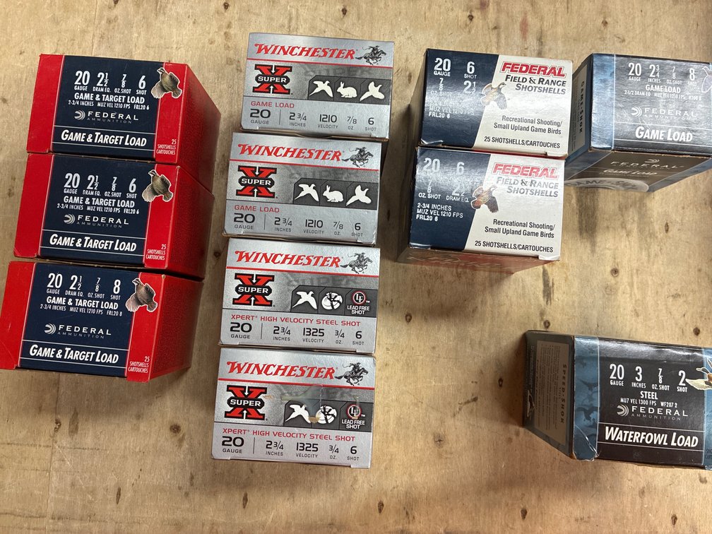 20 Ga- 7 boxes Federal, 4 Winchester