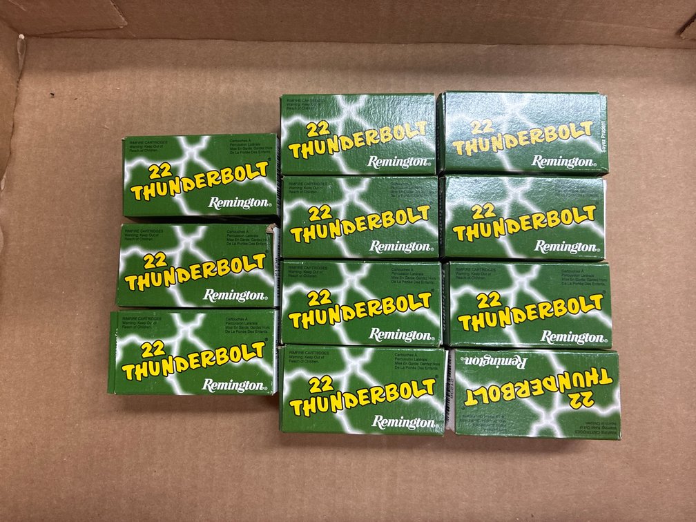.22 LR- 11 Boxes Remington