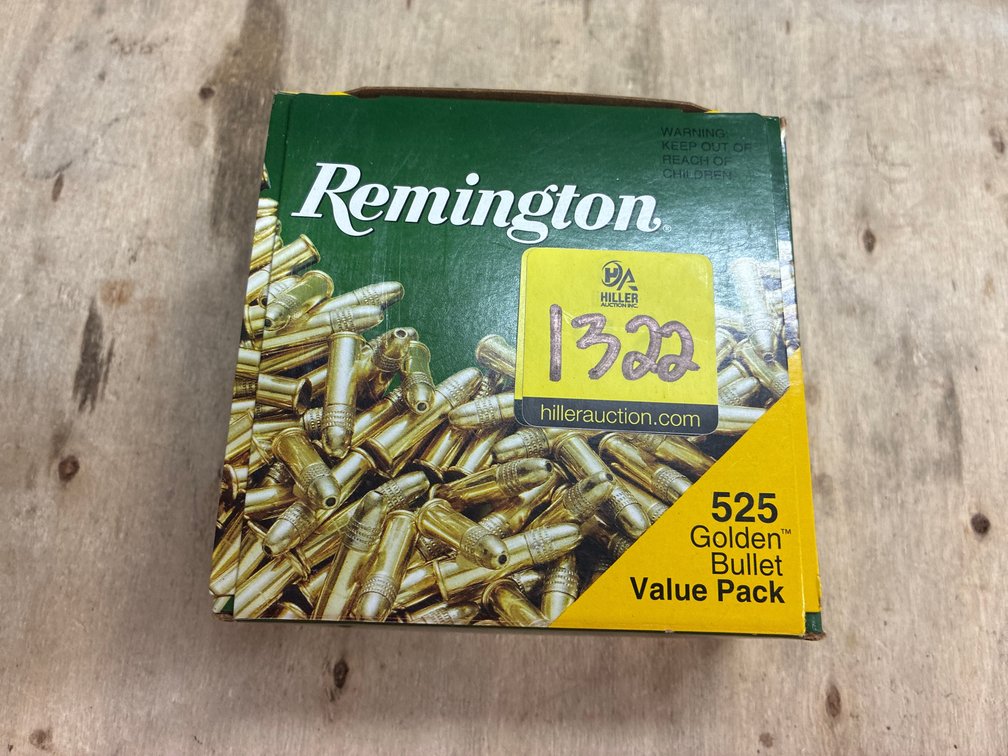 .22 LR- 1 Box Remington