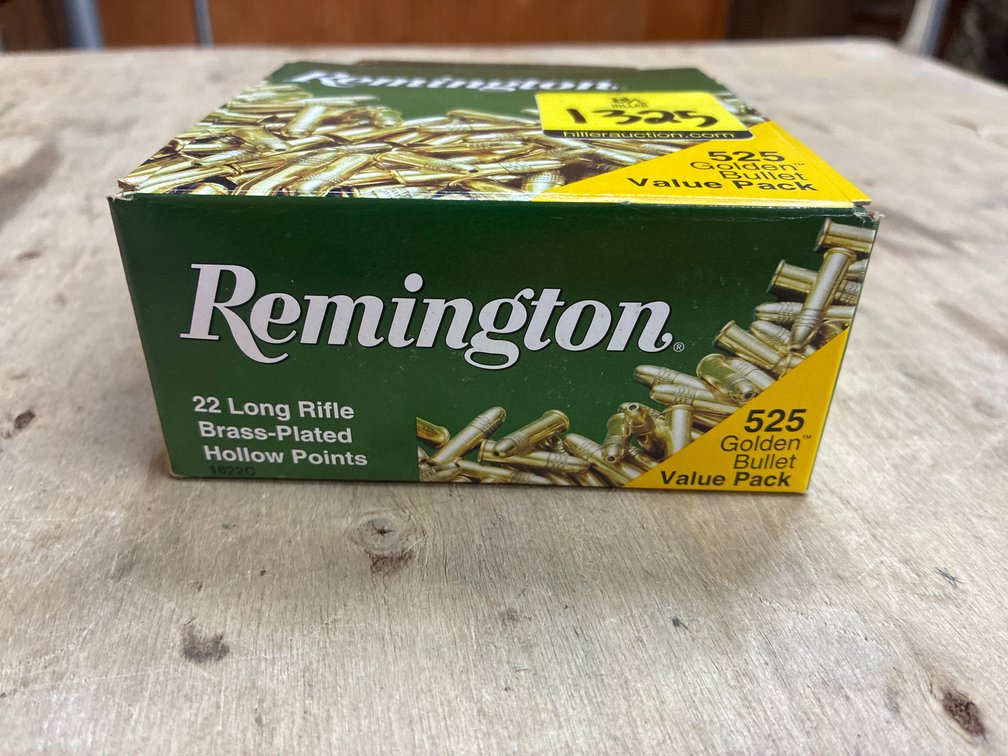 .22 LR- 1 Box Remington