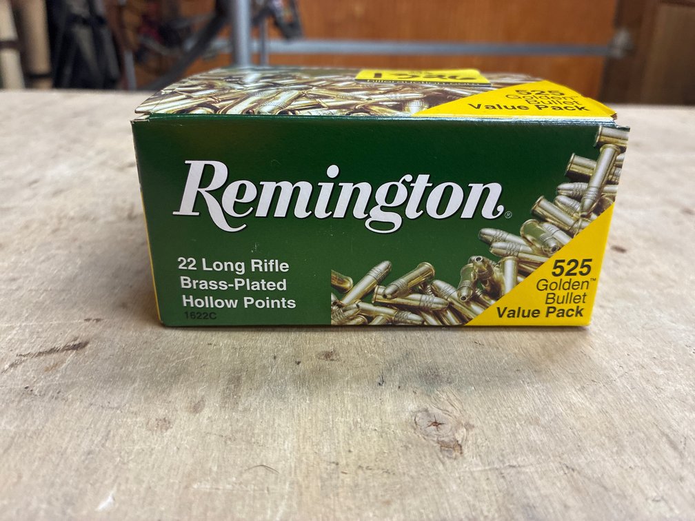 .22 LR- 1 Box Remington