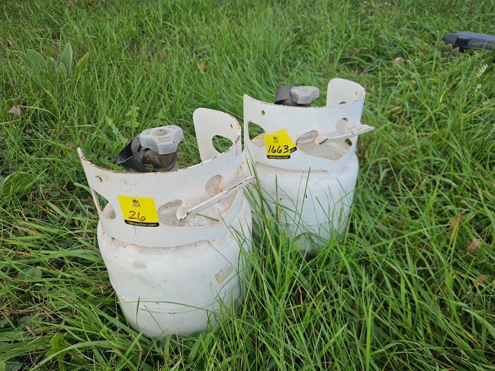 2 Mini Propane Tanks