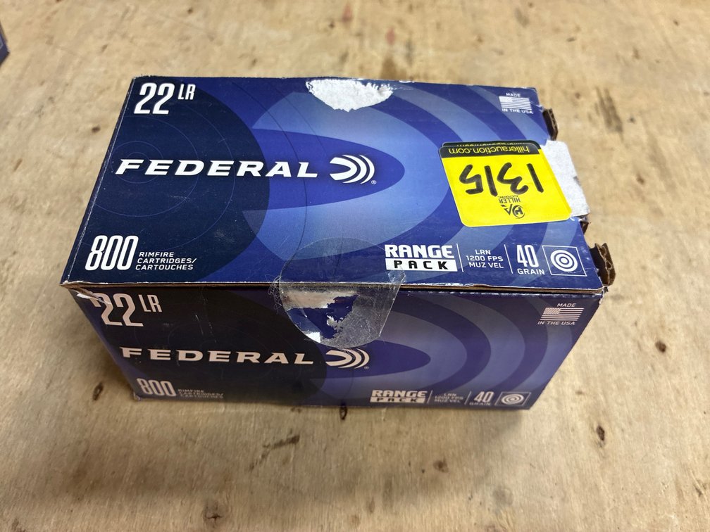 1 Box .22 LR Federal