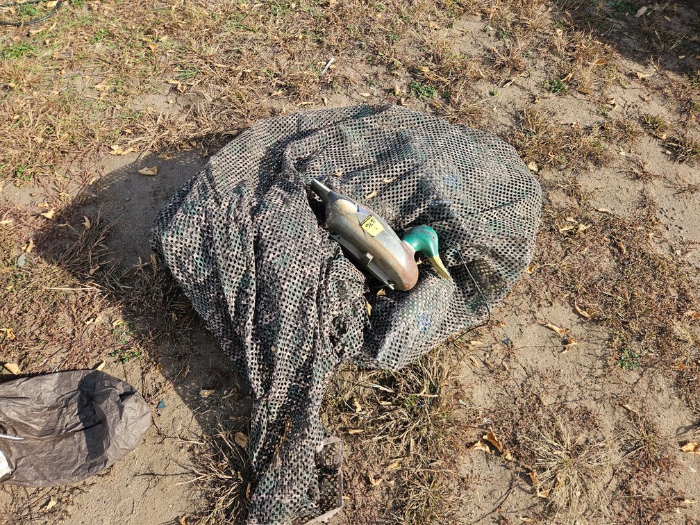 Bag of Duck Decoys
