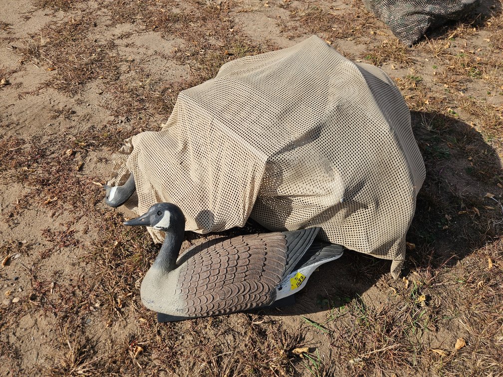 Canadian Geese Decoys