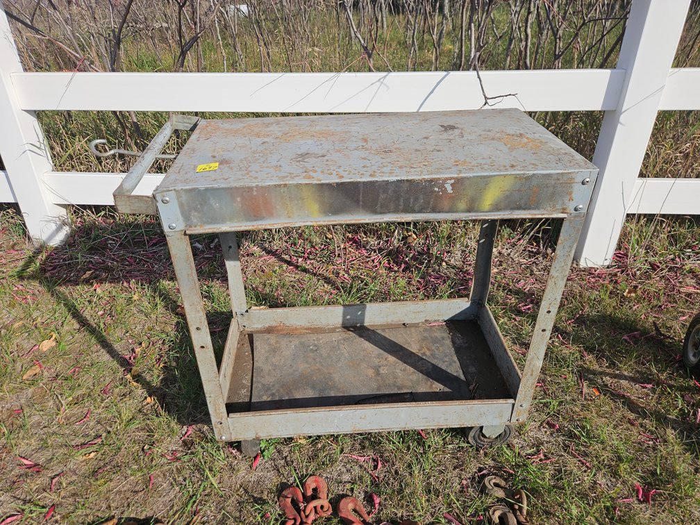 Rolling Metal Cart