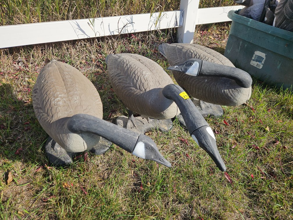 3 Goose Decoys