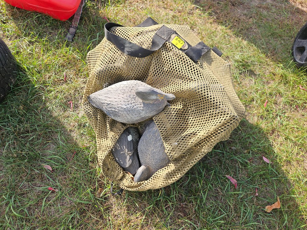 Bag of Duck Decoys