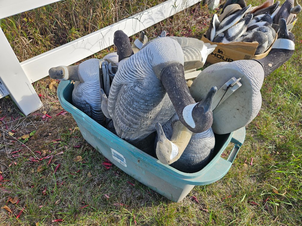 Tote of Goose Decoys