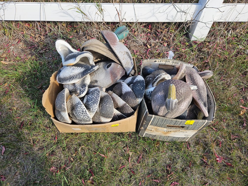 Styrofoam Duck Decoys