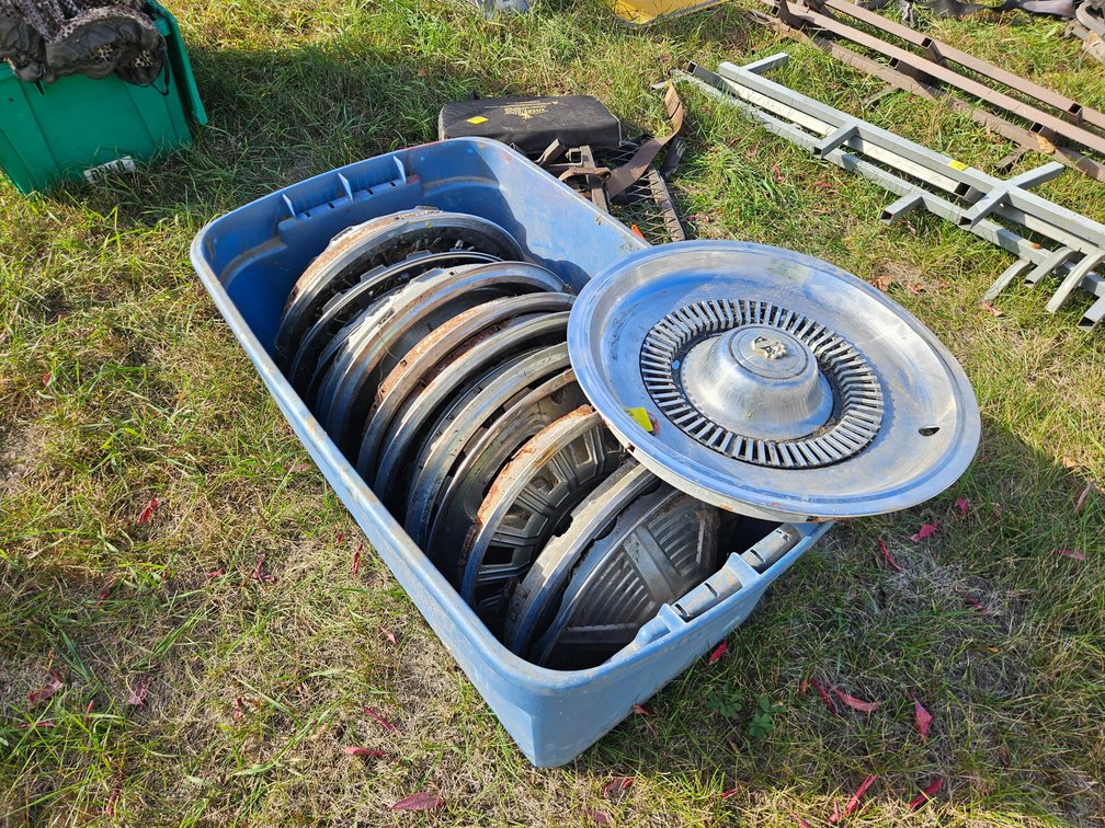 Tote of Old Hub Caps