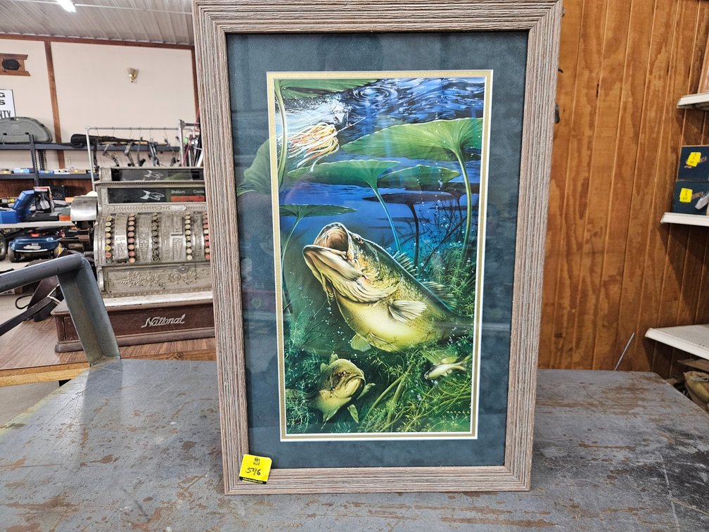 Fish framed pint
