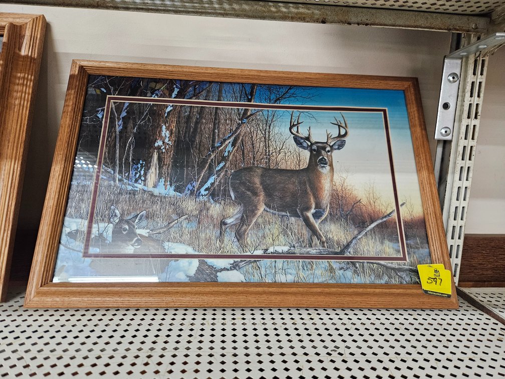 Deer Framed print