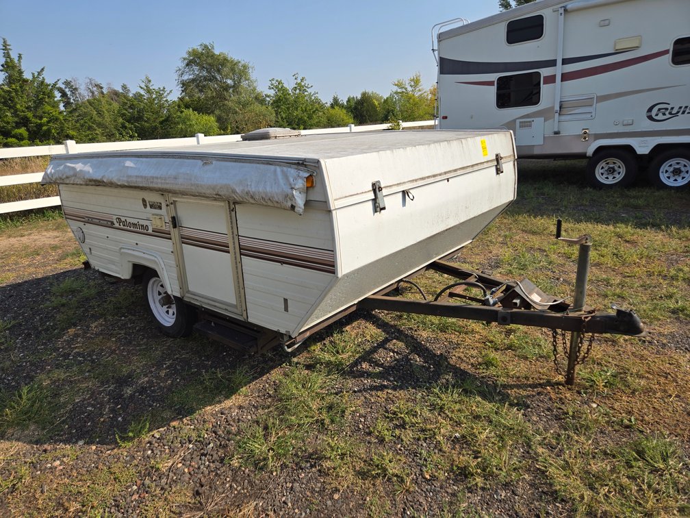 Palomino Colt Vin-IPA100615R1074494