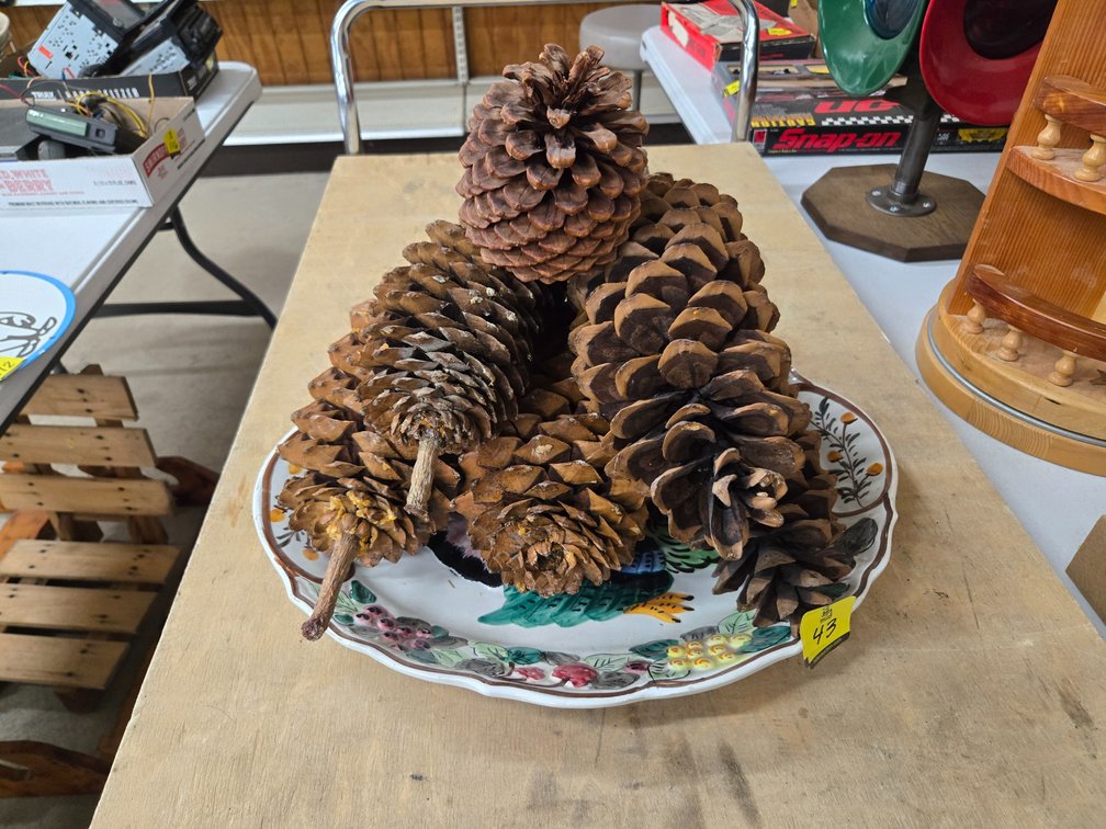 Platter and large pine cones