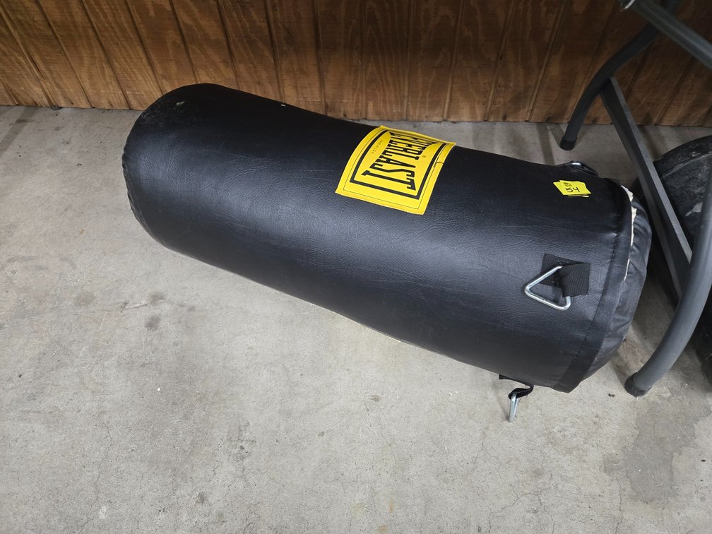 Everlast punching bag